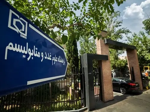 پژوهشگاه علوم غدد و متابولیسم؛ نقشه راه سال جدید با تمرکز بر نوآوری، هوشمندسازی و همکاری‌های علمی